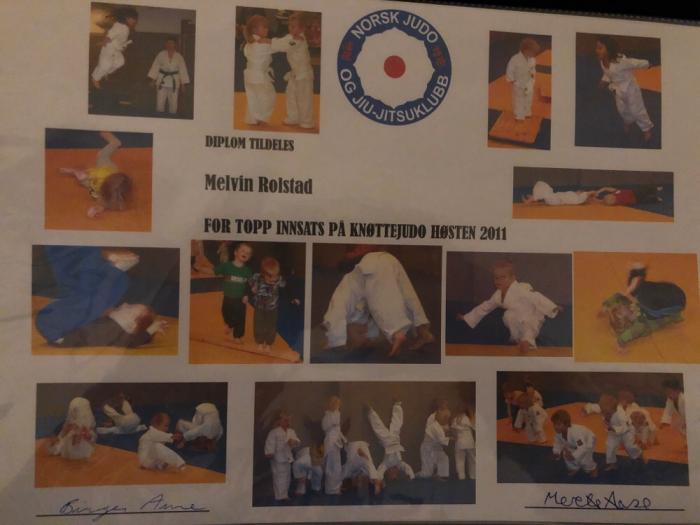 12th Kyu · December 9, 2011 · Promoted by Birger Aune