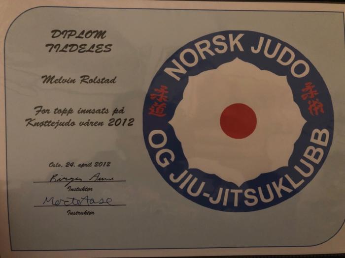11th Kyu · April 24, 2012 · Promoted by Birger Aune