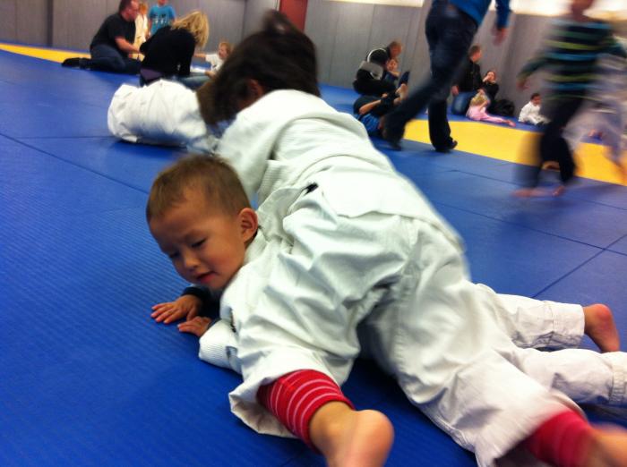 11th Kyu · April 24, 2012 · Promoted by Birger Aune