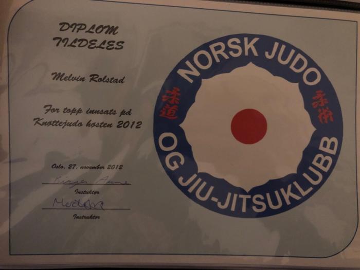 10th Kyu · November 27, 2012 · Promoted by Birger Aune