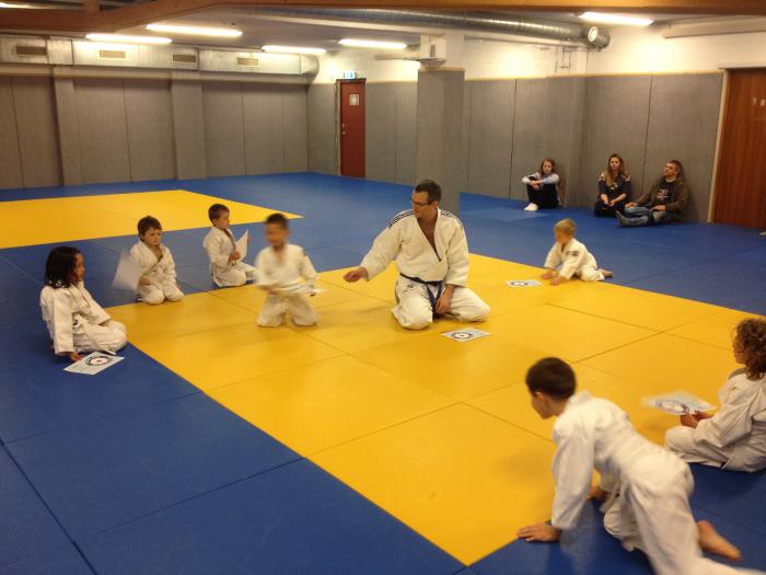 10th Kyu · November 27, 2012 · Promoted by Birger Aune