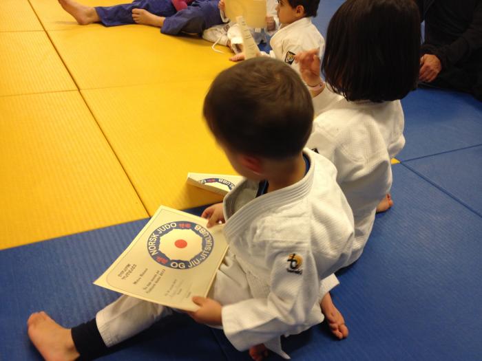 9th Kyu · April 13, 2013 · Promoted by Birger Aune