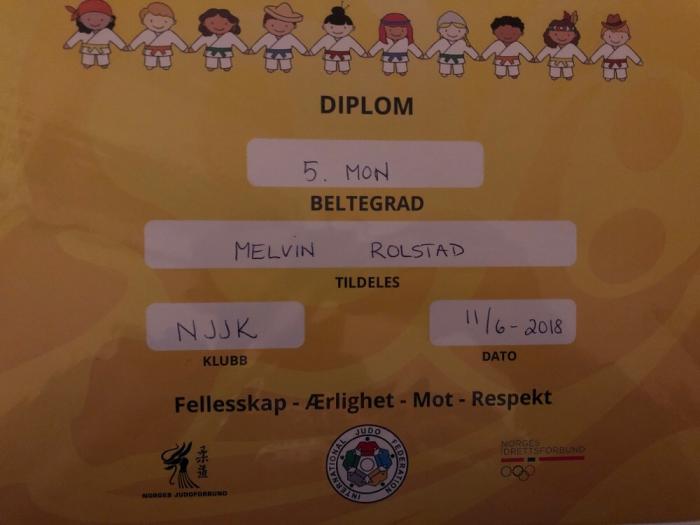 6th Kyu · June 11, 2018 · Promoted by Jørn Terje Krekling