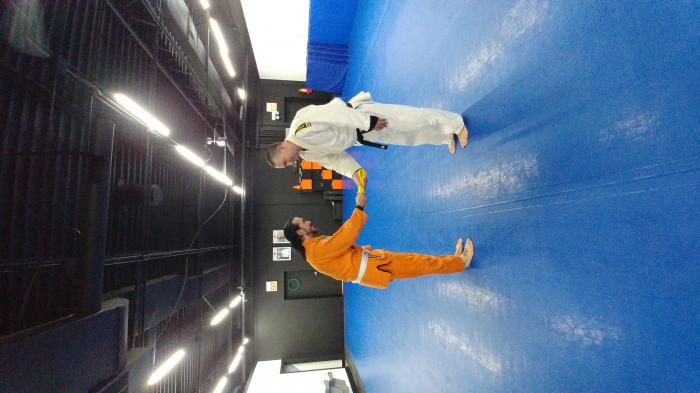6th Kyu · November 24, 2017 · Promoted by Mike Nevins