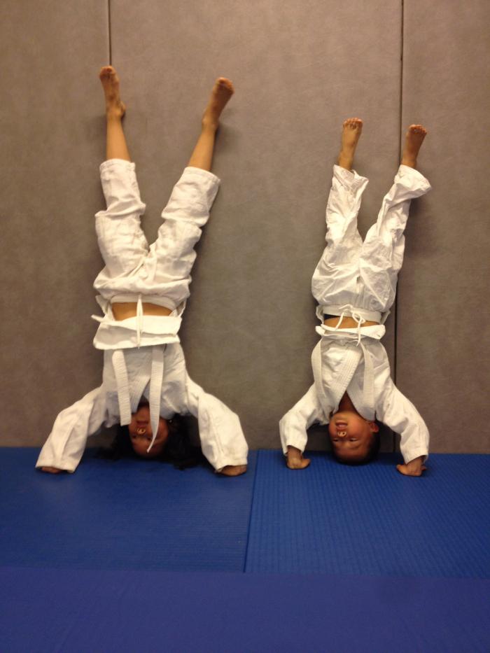 7th Kyu · May 4, 2014 · Promoted by Birger Aune