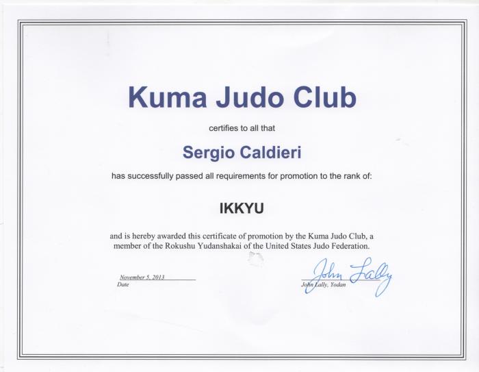 1st Kyu · November 5, 2013 · Promoted by John Lally