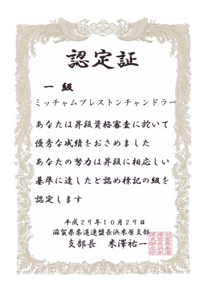 1st Kyu · October 29, 2017 · Promoted by Hitoshi Furuyama