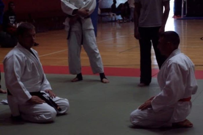 4th Kyu · August 8, 2007 · Promoted by Karl Johansson